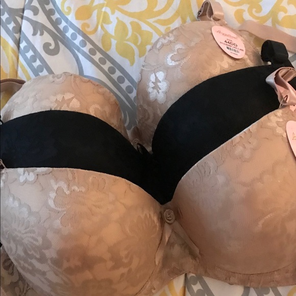 Lacy Bras - Picture 1 of 3